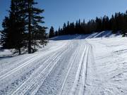 Cross-country ski trails in Trysil