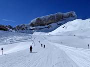 Easy ski glide trail Gottesacker