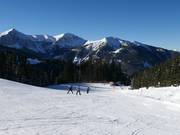Children's area with easy slope and drag lift