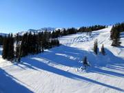 Wonderful runs at the Wawa Quad