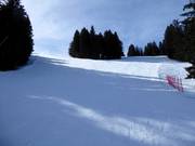 Easy forest slopes at Chuenisbärgli in Adelboden