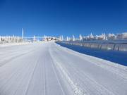 The toboggan run is also very well prepared.