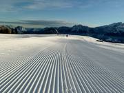 Very good slope grooming at Schwarzeck