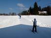Franken (Franconia): Test reports from ski resorts – Test report Fleckllift – Warmensteinach
