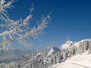 Brauneck mountain station