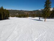 Easy slopes in the valley area