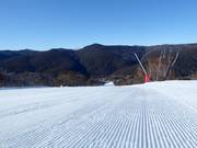 Very good slope preparation in the ski resort of Thredbo