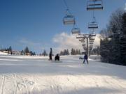 Easy slope at the Adlersesselbahn