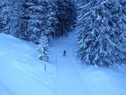 Trail in the Lenzerheide