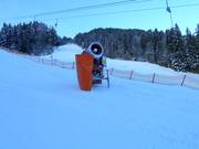 Snow cannon in waiting