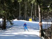 Trail in Borovets