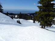 Backdoor downhill run