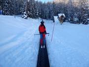 Magic Carpet Gallisches Skidorf