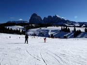 Beginner area at the Ludy drag lift