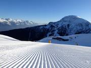 Very well-groomed slopes