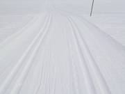 Groomed cross-country trails in Itter