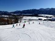 Easy practice area in the valley at the Dorf- and Hörnilift