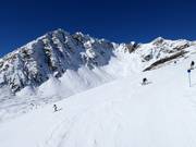 Slopes at the Alblittkopfbahn