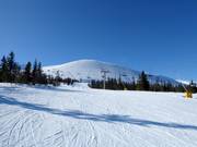 View from the slopes to Trysilfjellet 1132 m