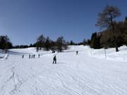 Easy slope at the Hochsonnlift