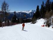 Alm descent St. Michael (valley run)