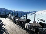 Mountain hut tip Heaven 3000