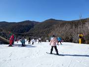 Beginner slope Easy Does It in the Friday Flat area