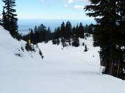 Noel's Flight downhill run