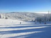 Easy and wide slope, perfect for beginners