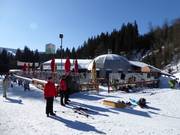 Mountain hut tip Igloobar