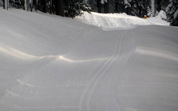 Cross-country skiing Silberregion Karwendel – Cross-country skiing Kellerjoch – Schwaz