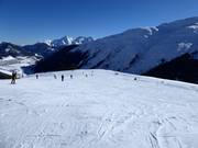 Easy slope no. 46 Planatsch