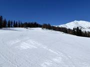 Easy Stockerboden run