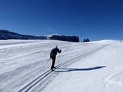 Cross-country skiing on the Seiser Alm