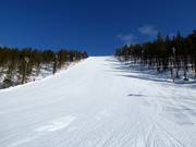 World Cup Downhill G.2