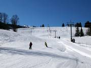 Easy terrain near Mittenwald