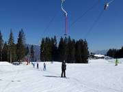 Rimmlermoos 1 C2 - J-bar