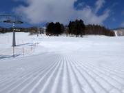 Perfectly groomed slope in Rusutsu