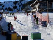 Tiny Tiger Carpet - People mover/Moving Carpet