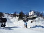 Harmarheisen - T-bar