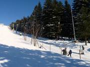 Bühlertallift 2 - T-bar