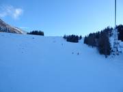 Intermediate Rudi Nierlich slope