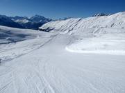 Slope No. 13 Tyndall