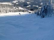 Mogul slope below the Nordhang chairlift