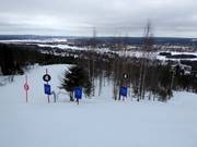 Challenging freeride slope through sparse forest