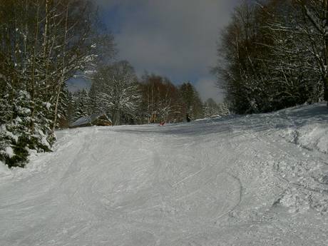 Slope offering Bohemian Forest (Šumava) – Slope offering Špičák