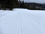 Perfect slope grooming in the Stoneham ski area