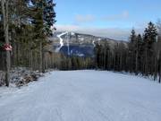 Intermediate Zwieselbergabfahrt Family