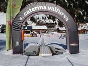 Tip for children  - Baby Park Mirtilla Land