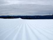 Very good slope grooming at Mt. Buller